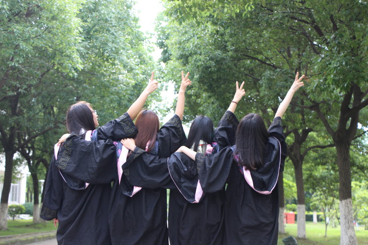 东北林业大学(NEFU)2025录取预测：基于近三年各省分数线趋势分析