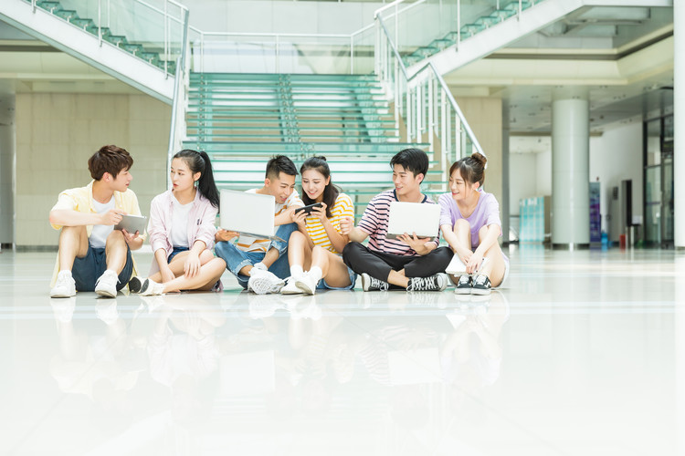 沈阳农业大学中外合作办学四川录取数据解析（2022-2024）
