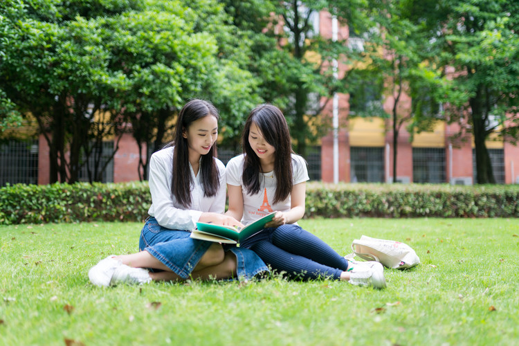 红河学院(Honghe University)近三年招录数据全解析：2022-2024分数线趋势与2025报考指南