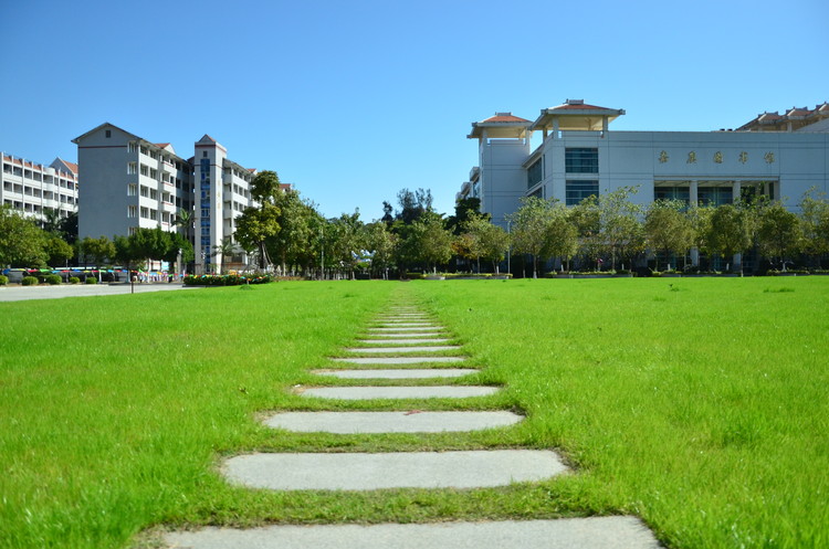 沈阳药科大学中外合作办学四川录取数据详解(2022-2024)：分数线与位次趋势分析