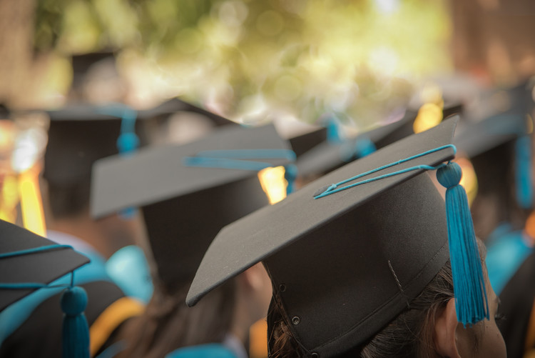 云南师范大学(Yunnan Normal University)2025报考指南：近三年各省录取分数线及趋势分析
