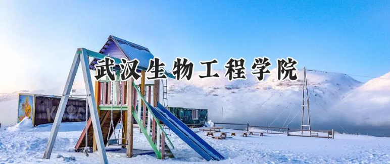 2025武汉生物工程学院录取分数线:重庆最低315分